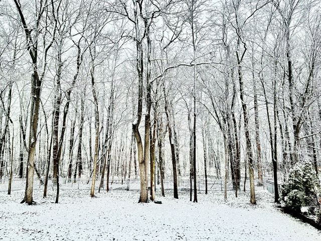 13462 Spotswood Street, Carmel, IN 46032