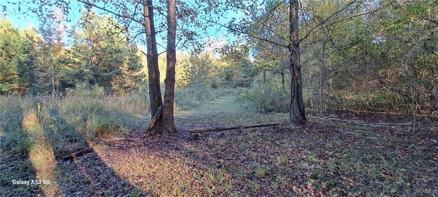 15986 Riverbend Ln, Moundville, AL 35474