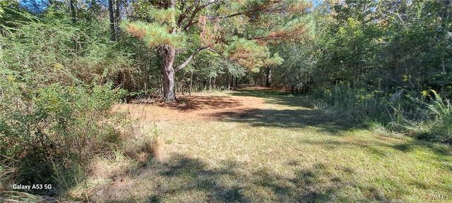 15986 Riverbend Ln, Moundville, AL 35474