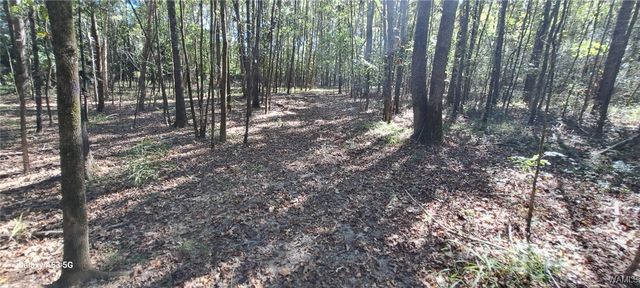 15986 Riverbend Ln, Moundville, AL 35474