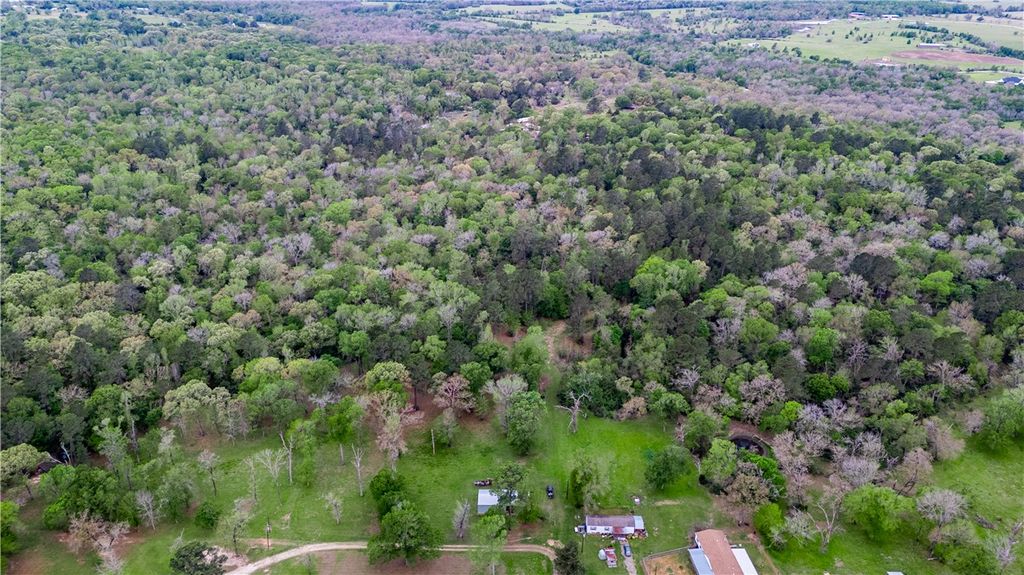 TBD Pr 1120, Leona, TX 75850 — photo 3
