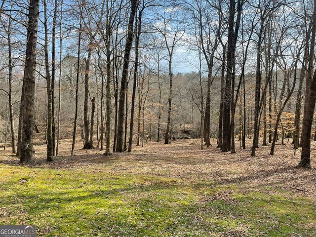 1171 River Run, Bishop, GA 30621