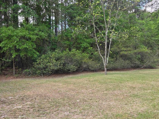 104 Jason Lane, Round O, SC 29474