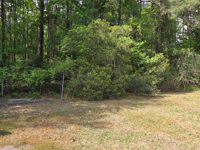 104 Jason Lane, Round O, SC 29474
