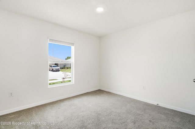 13322 Golden Lime Avenue, Spring Hill, FL 34609