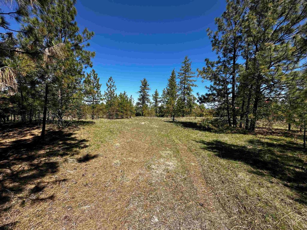 34820 Partridge Ln N Ln, Davenport, WA 99122
