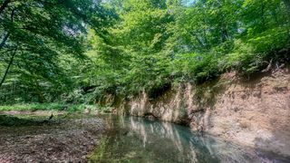 0 Birdsong Road, Holladay, TN 38341