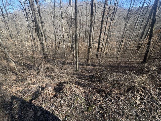 0 Lakeside Dr, Smithville, TN 37166