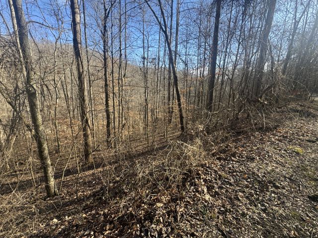 0 Lakeside Dr, Smithville, TN 37166