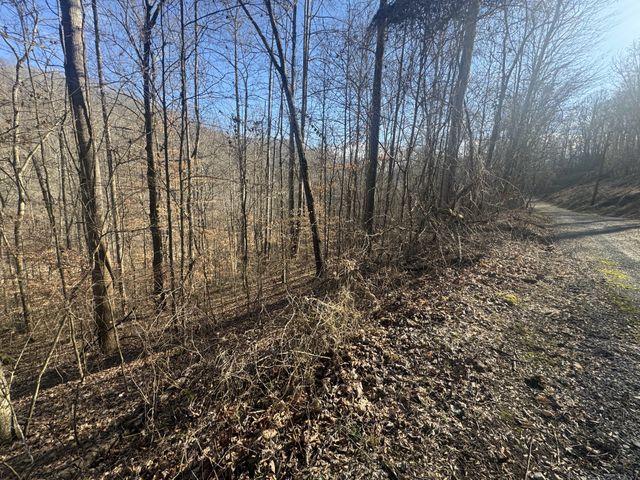 0 Lakeside Dr, Smithville, TN 37166