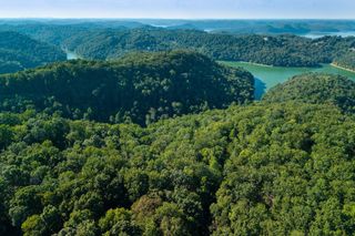 0 Lakeside Dr, Smithville, TN 37166