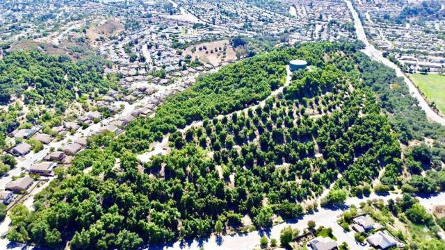 3137 E Valley Parkway, Escondido, CA 92027