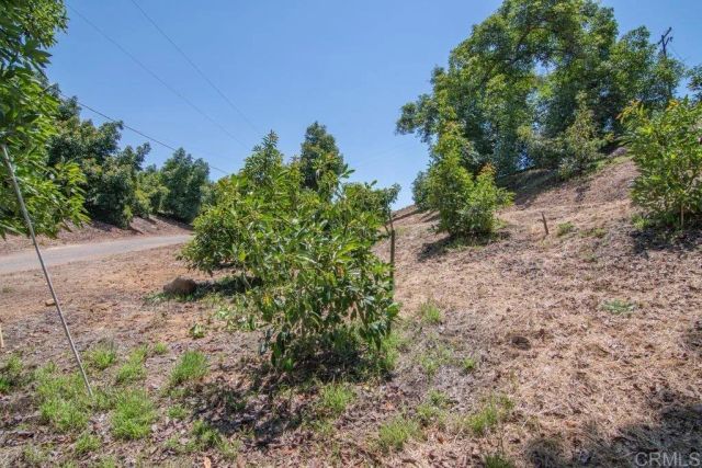 3137 E Valley Parkway, Escondido, CA 92027