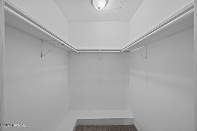 3434 Preakness Place, New Bern, NC 28562