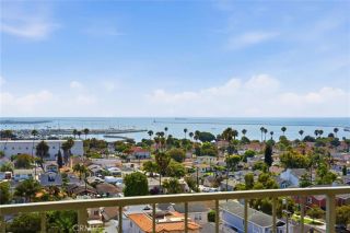 2910 S Peck Avenue 11, San Pedro, CA 90731