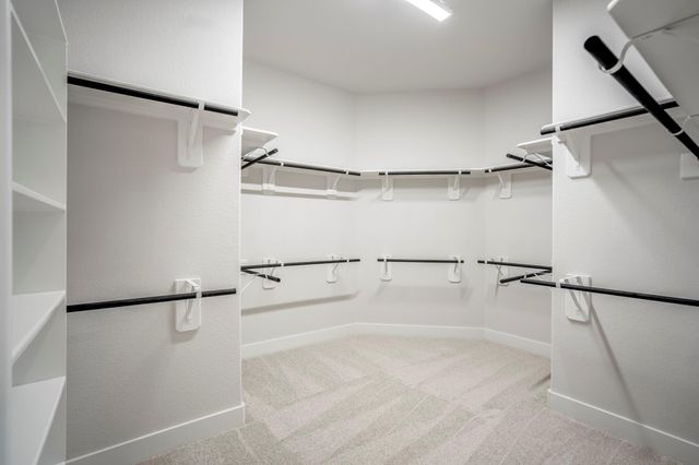 17206 Blooming Suzans Lane, Conroe, TX 77302