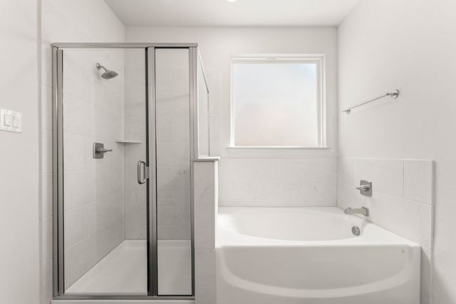 252 Bright Alcove Court, Lavon, TX 75166