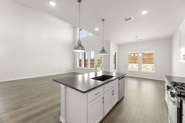 252 Bright Alcove Court, Lavon, TX 75166