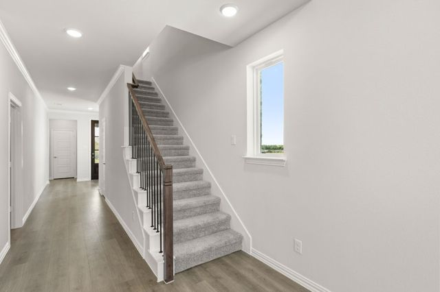 252 Bright Alcove Court, Lavon, TX 75166