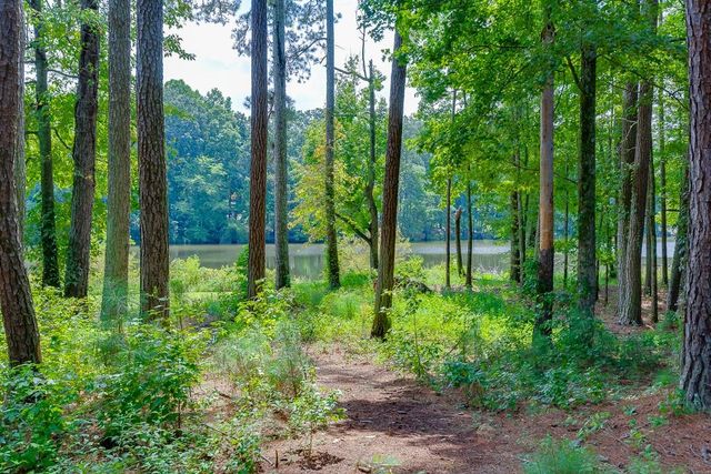 2930 Aquitania Lane, Cumming, GA 30040