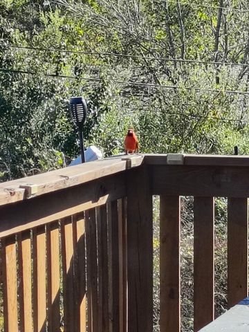 63 Augusta Court, Somerset, KY 42501