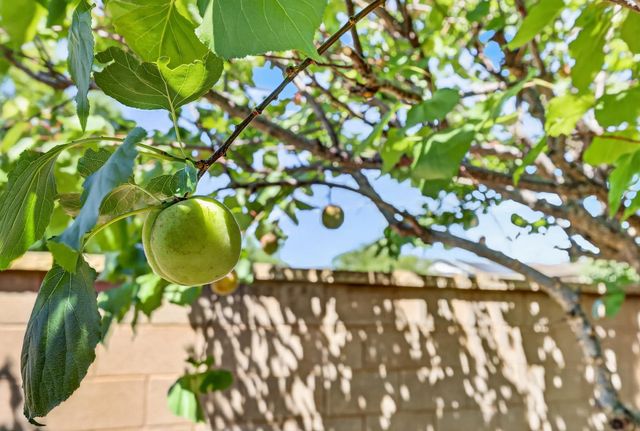 2400 Provincetown Way, Roseville, CA 95747