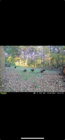 14177 Irish Ridge Road, Mount Hope, WI 53816