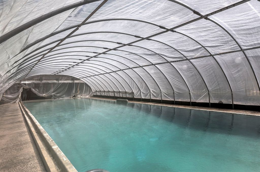 283 Lost Trail Hot Springs Road, Sula, MT 59871 photo 49