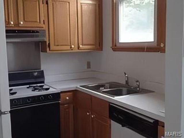 1217 N 11th Street 1217, St Louis, MO 63106