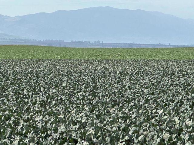 48453 Lonoak Road, King City, CA 93930