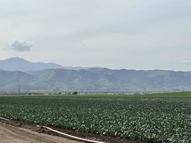 48453 Lonoak Road, King City, CA 93930