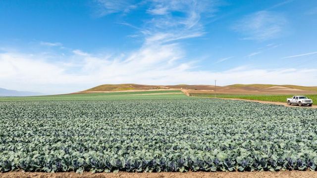 48453 Lonoak Road, King City, CA 93930