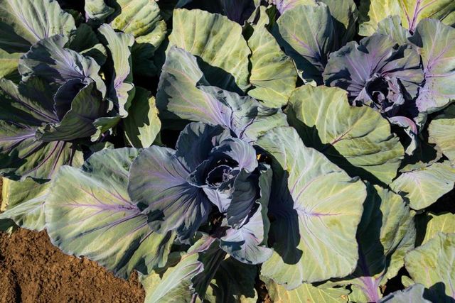 48453 Lonoak Road, King City, CA 93930