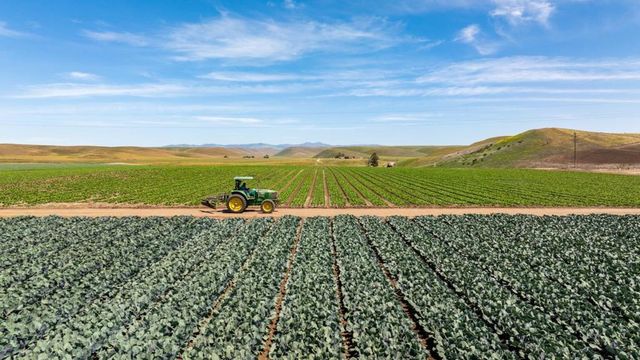 48453 Lonoak Road, King City, CA 93930