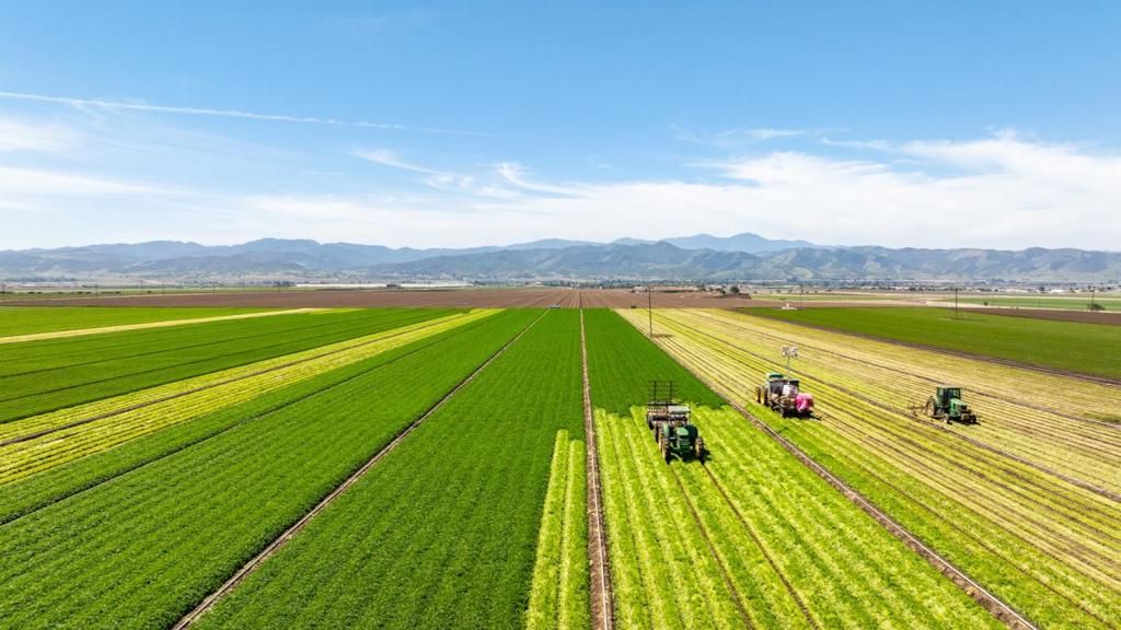 48453 Lonoak Road, King City, CA 93930