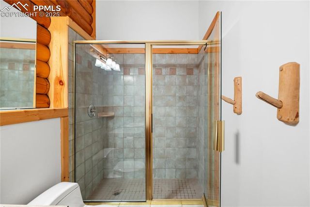 170 Druid Trail, Florissant, CO 80814