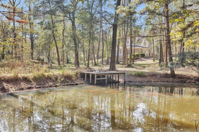 27789 Armadillo Road, Montgomery, TX 77356
