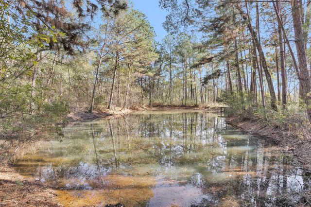 27789 Armadillo Road, Montgomery, TX 77356