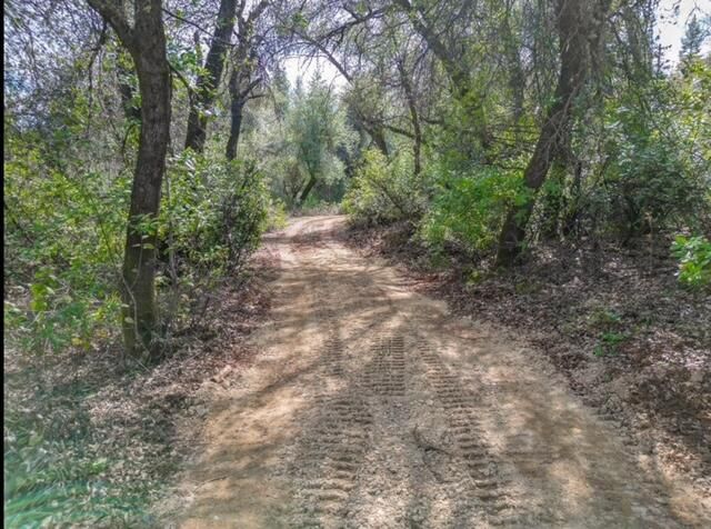 0000 Quail Run Road, Redding, CA 96003