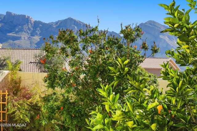 11292 N Quail Springs Place, Tucson, AZ 85737