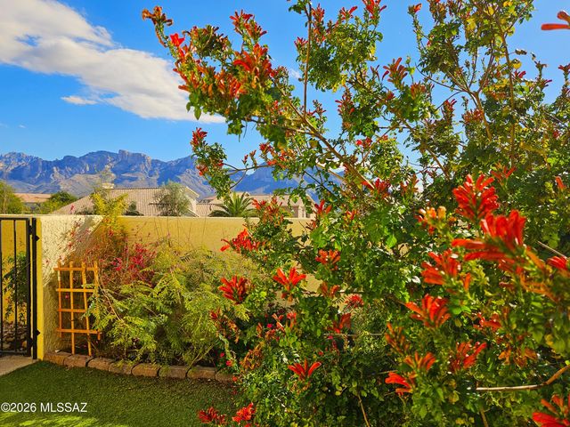 11292 N Quail Springs Place, Tucson, AZ 85737