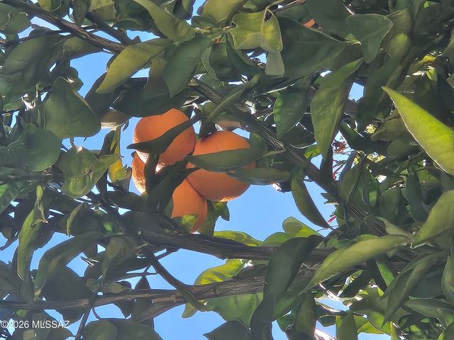 11292 N Quail Springs Place, Tucson, AZ 85737