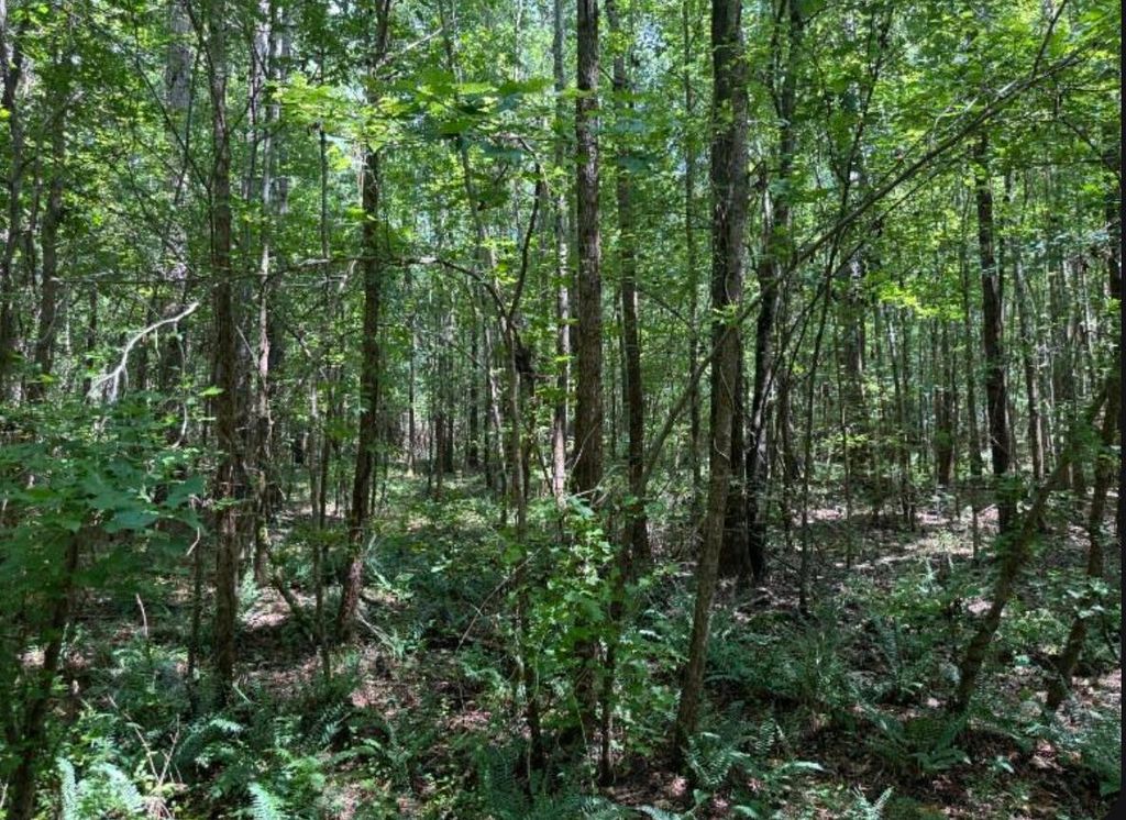 Tbd 9 Ac Atomic, Beech Island, SC 29842