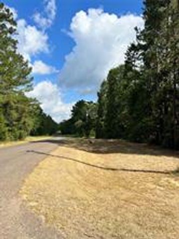 003 Longs, Waller, TX 77484