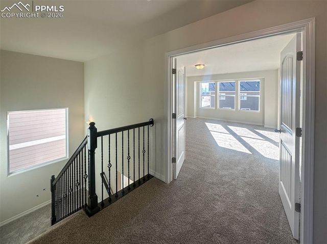 8282 Henzlee Place, Falcon, CO 80831