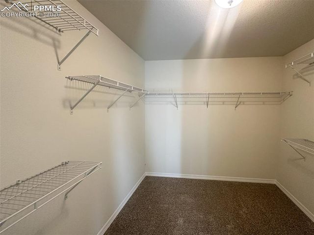 8282 Henzlee Place, Falcon, CO 80831