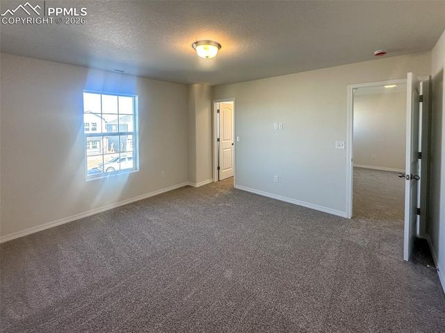 8282 Henzlee Place, Falcon, CO 80831