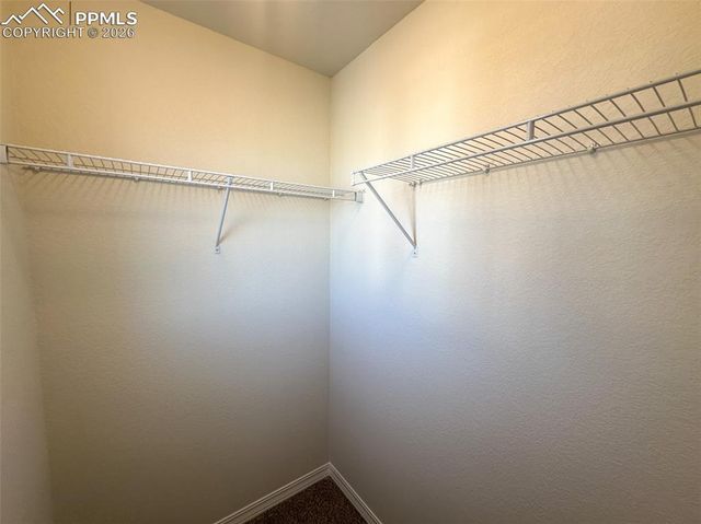 8282 Henzlee Place, Falcon, CO 80831