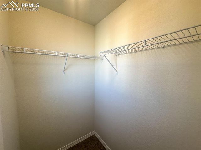 8282 Henzlee Place, Falcon, CO 80831