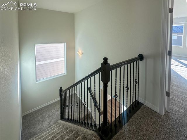 8282 Henzlee Place, Falcon, CO 80831